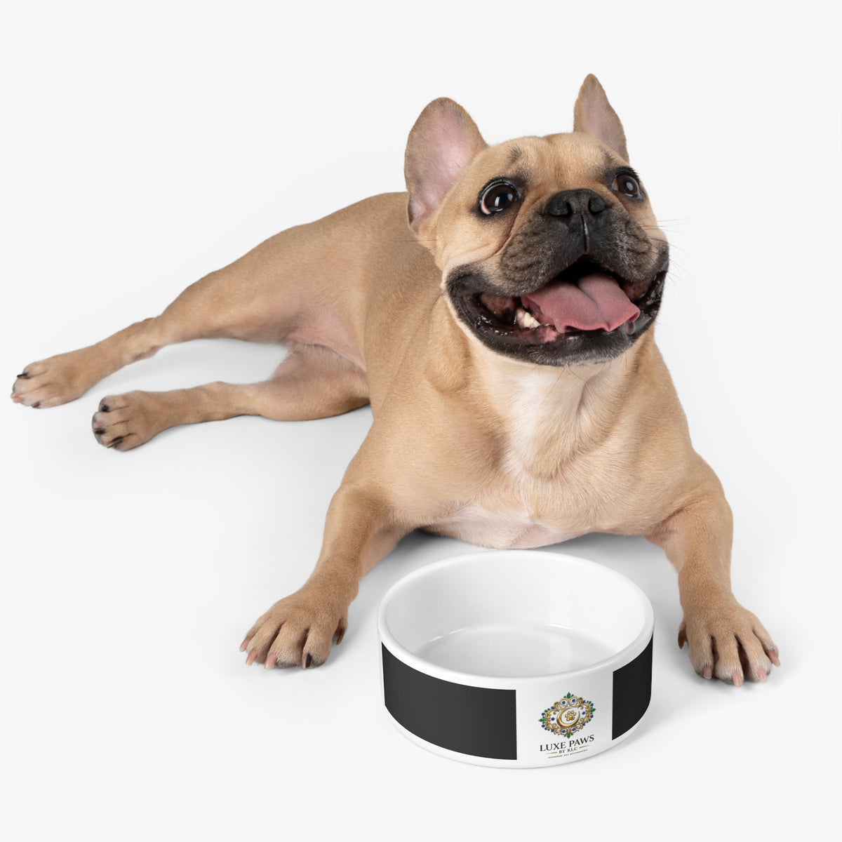 Luxe Paws Ceramic Pet Bowl – Elegant Black & Gold Designer Dog Bowl