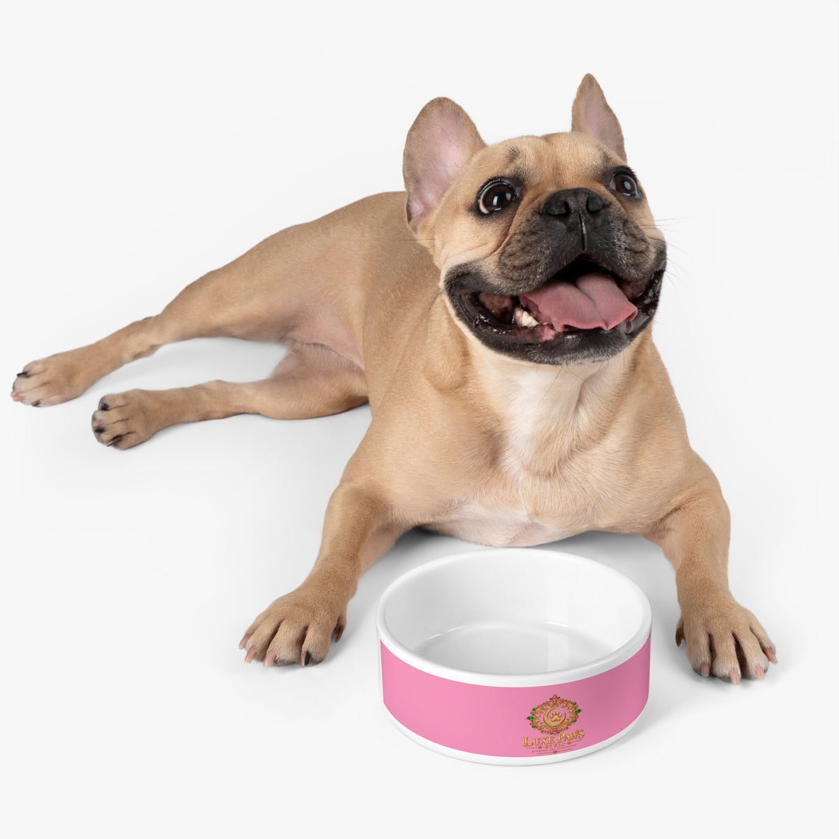 Luxe Paws Ceramic Pet Bowl — Pink Designer Dog & Cat Feeding Dish