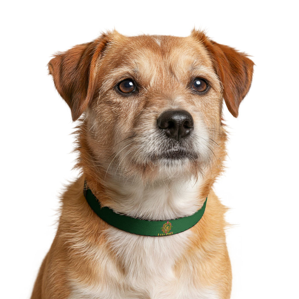 Green Clip-On Pet Collar with Gold Emblem — Durable Nylon Dog Collar